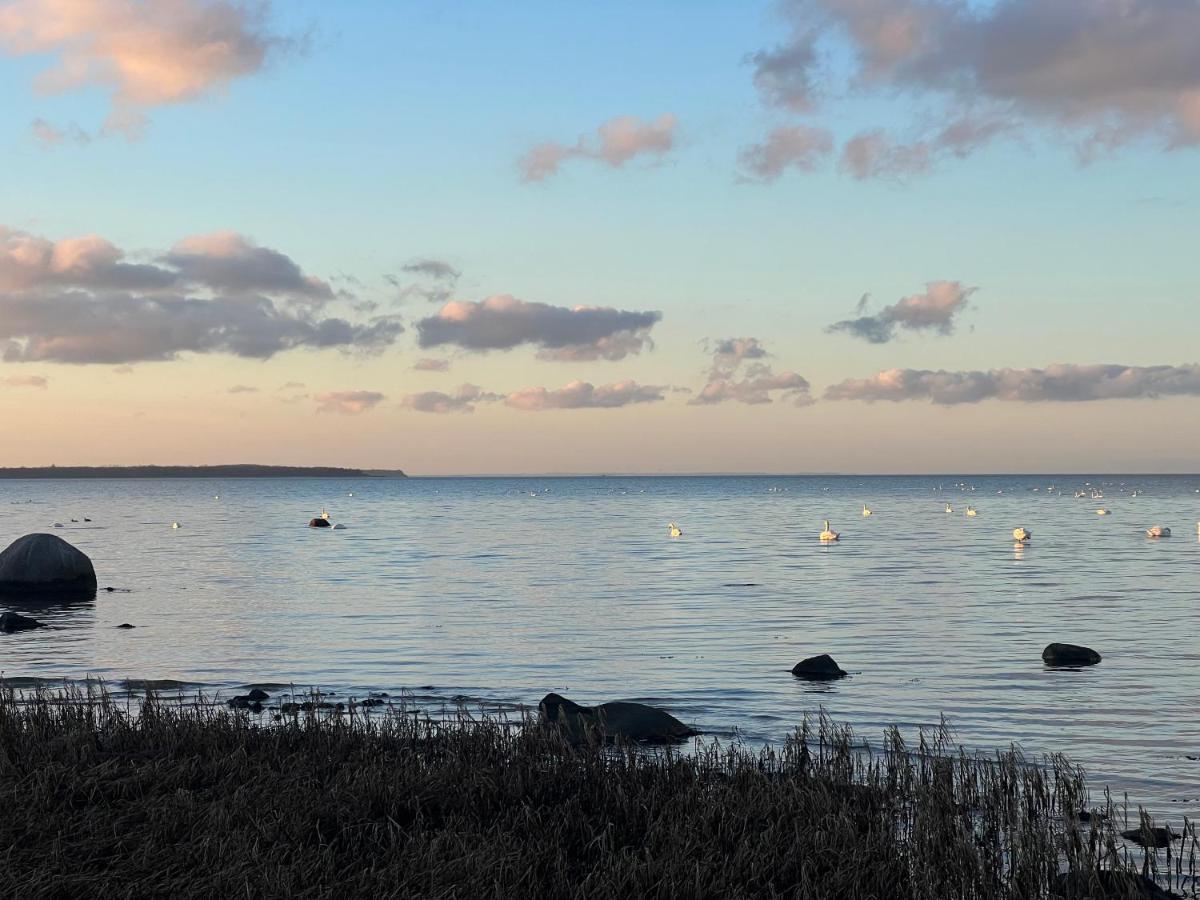 Reet Und Meer Beckerwitz Hohenkirchen  Exteriér fotografie