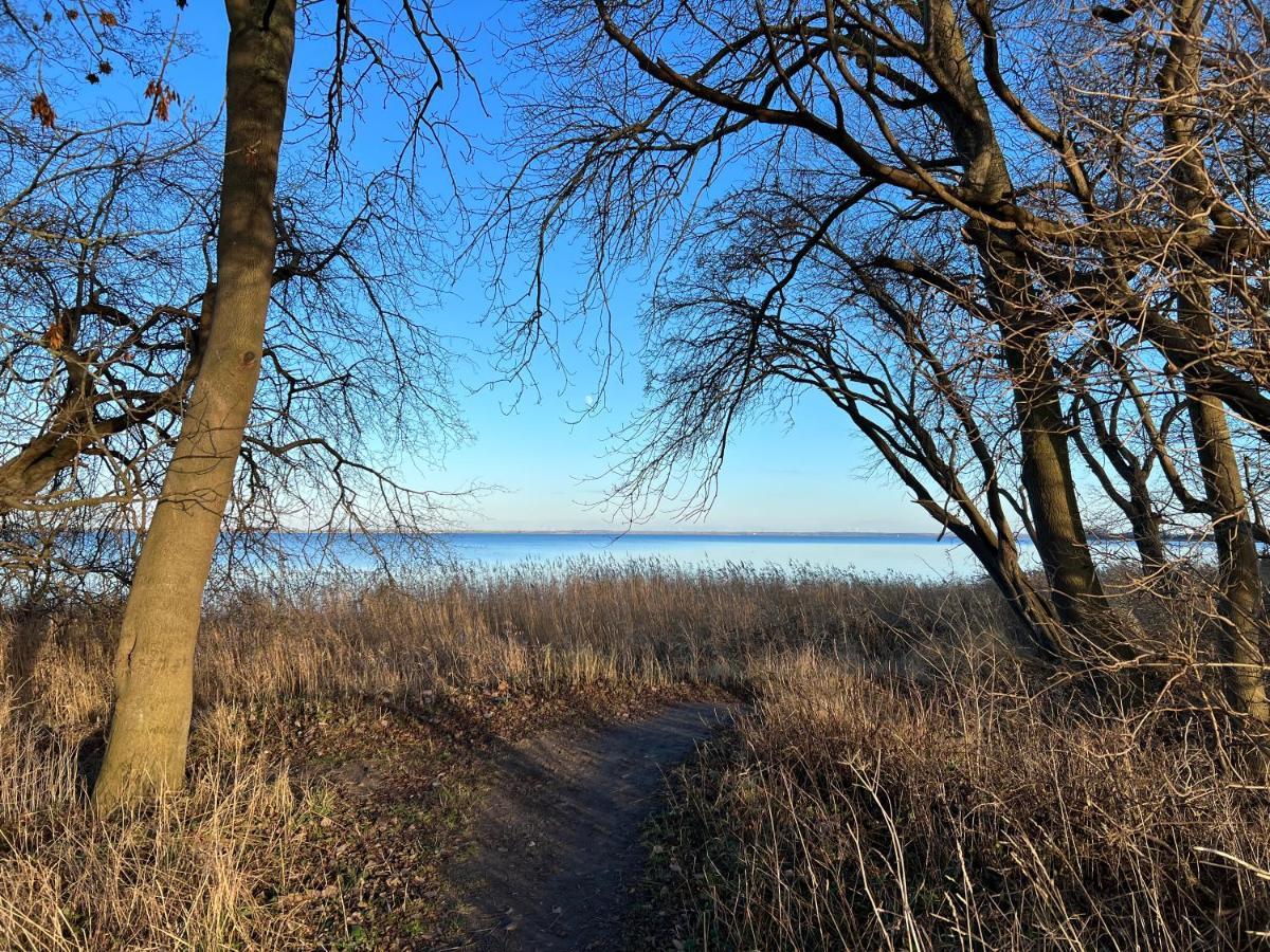 Reet Und Meer Beckerwitz Hohenkirchen  Exteriér fotografie