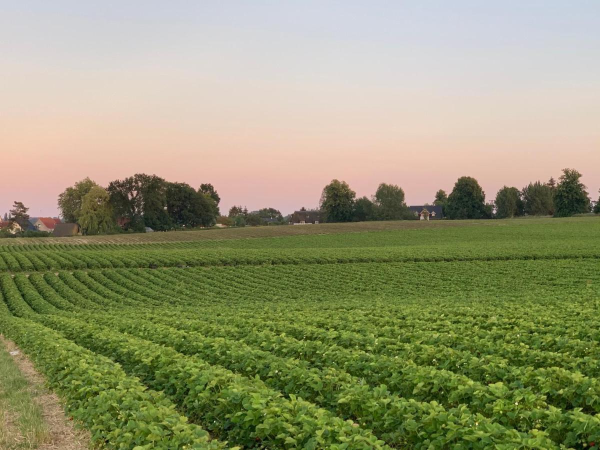 Reet Und Meer Beckerwitz Hohenkirchen  Exteriér fotografie