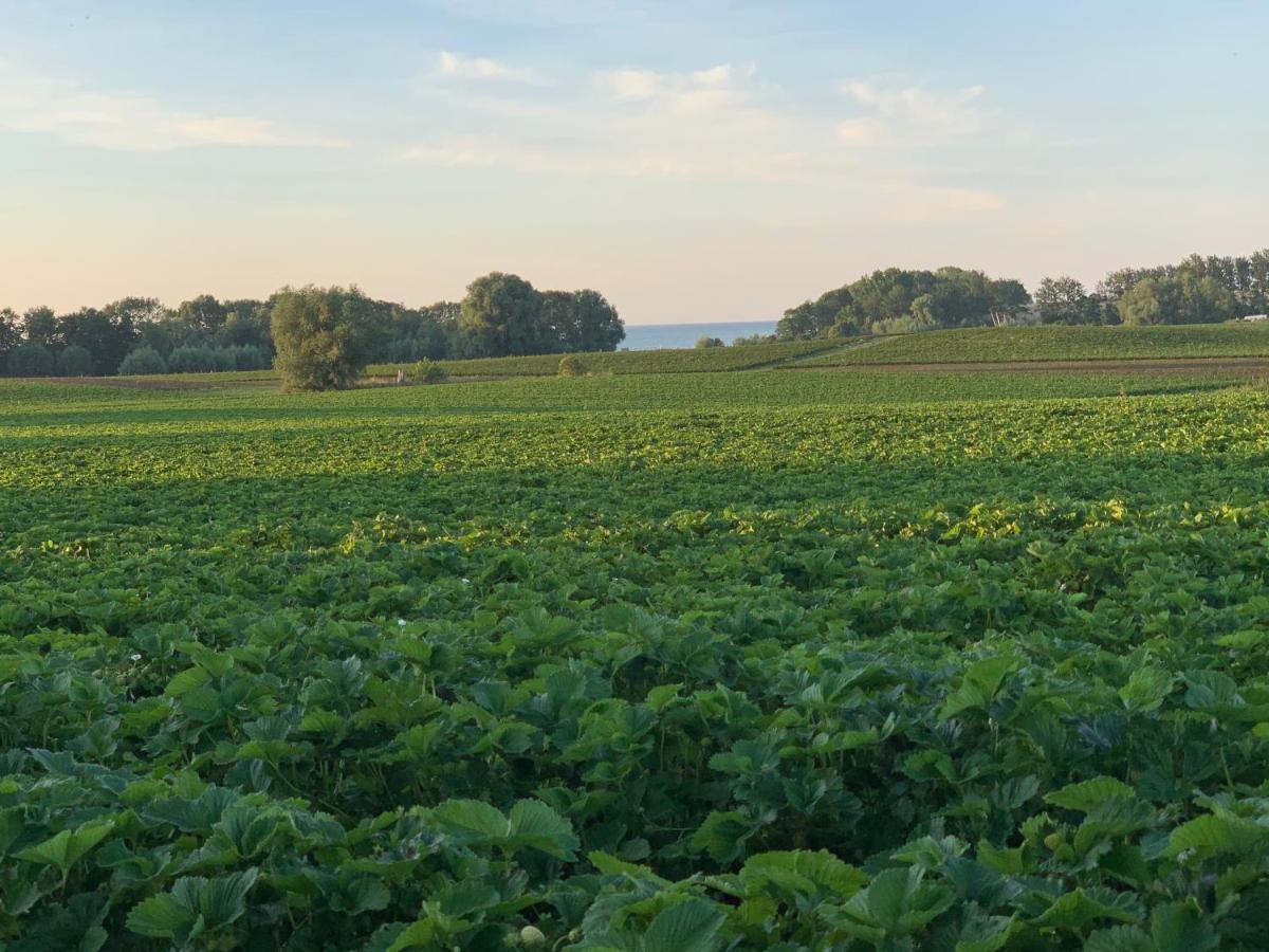 Reet Und Meer Beckerwitz Hohenkirchen  Exteriér fotografie