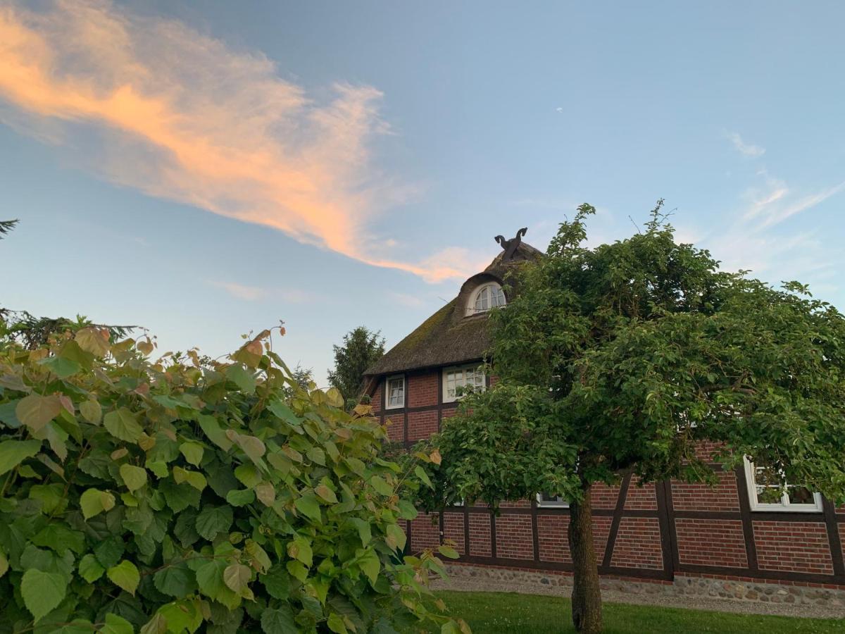 Reet Und Meer Beckerwitz Hohenkirchen  Exteriér fotografie