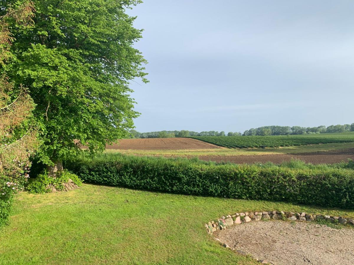 Reet Und Meer Beckerwitz Hohenkirchen  Exteriér fotografie